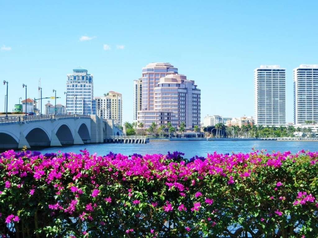 Waterfront scene with peaceful flowers that enhance counseling in West Palm Beach