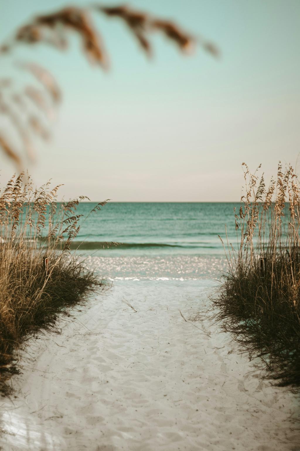 A sandy path through beach grass leading to calm ocean water